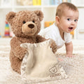 Peekaboo Teddy Bear