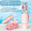 Ice Bottle Mold Tray